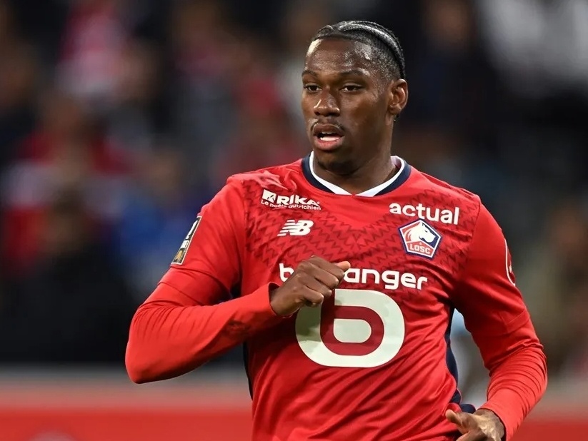 育新闻一样 育新闻一样